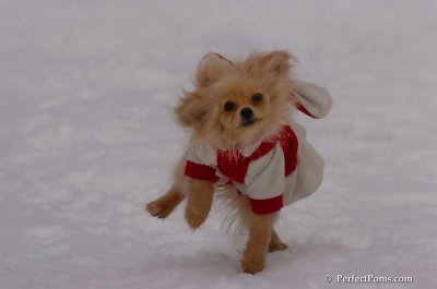 Jan5_08_370.JPG