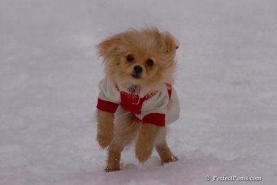 Jan5_08_371.jpg