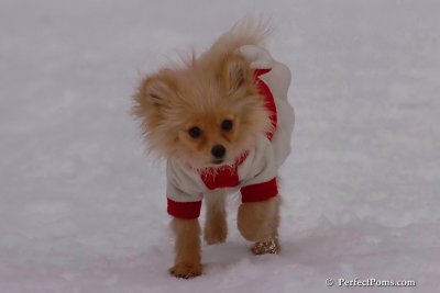 Jan5_08_372.jpg