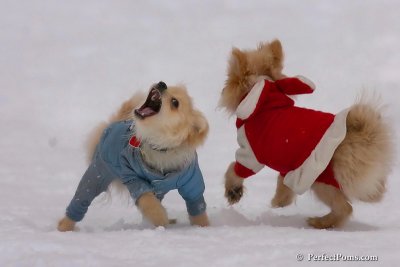 Jan5_08_374.jpg