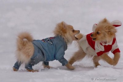 Jan5_08_375.jpg