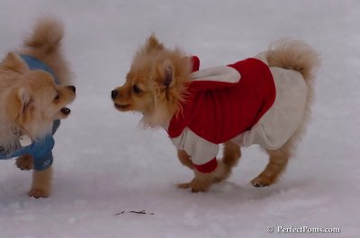 Jan5_08_376.JPG