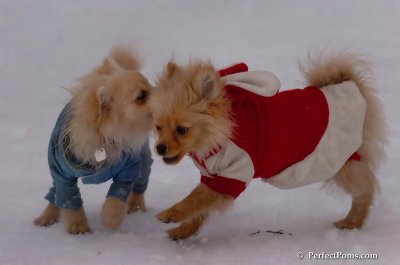 Jan5_08_377.JPG
