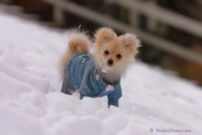 Jan5_08_378.jpg