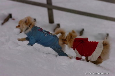 Jan5_08_383.JPG