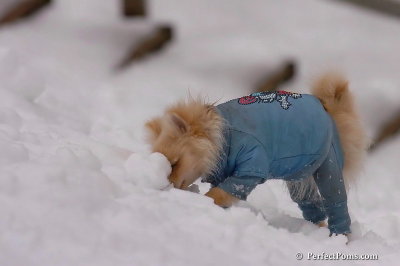 Jan5_08_385.jpg