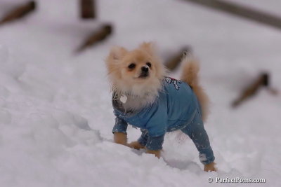 Jan5_08_387.jpg