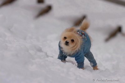 Jan5_08_388.jpg