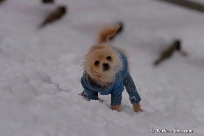 Jan5_08_389.jpg