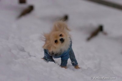 Jan5_08_390.jpg