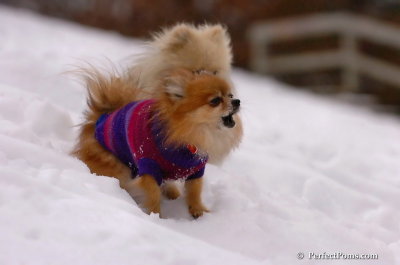 Jan5_08_396.JPG