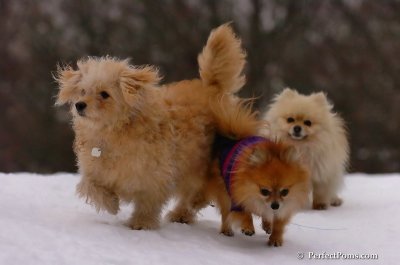Jan5_08_400.JPG