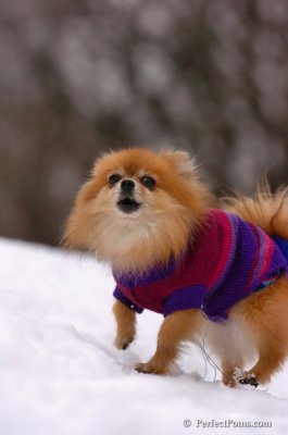 Jan5_08_405.JPG