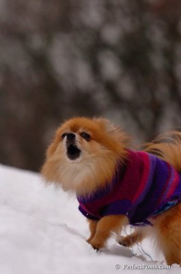 Jan5_08_407.JPG