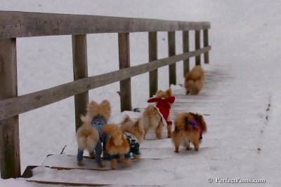 Jan5_08_418.jpg