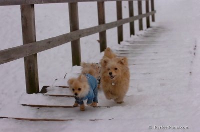Jan5_08_419.JPG