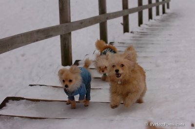 Jan5_08_421.JPG