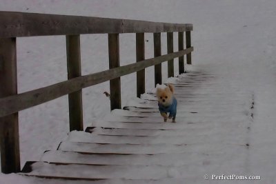 Jan5_08_426.jpg