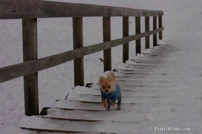 Jan5_08_427.jpg