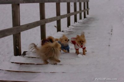 Jan5_08_428.JPG