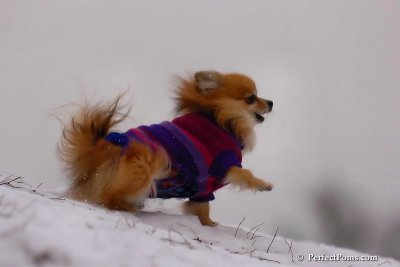 Jan5_08_196.jpg