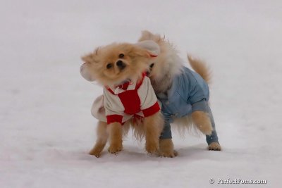 Jan5_08_001.jpg