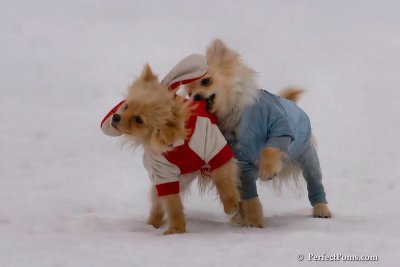 Jan5_08_002.jpg