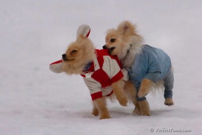 Jan5_08_003.jpg