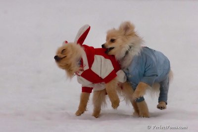 Jan5_08_004.jpg