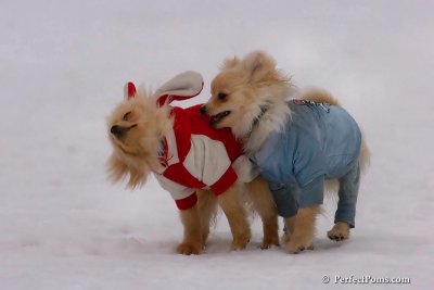 Jan5_08_005.jpg