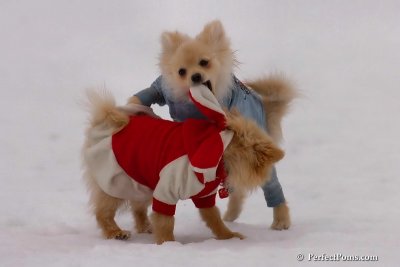 Jan5_08_006.jpg