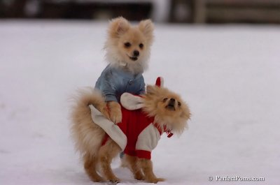 Jan5_08_007.JPG