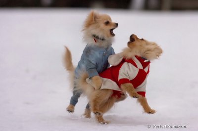 Jan5_08_008.JPG