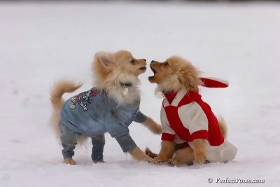 Jan5_08_010.jpg