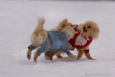 Jan5_08_016.jpg