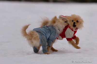 Jan5_08_017.jpg