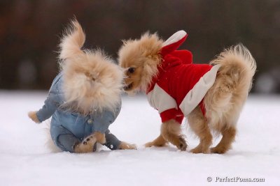 Jan5_08_019.jpg