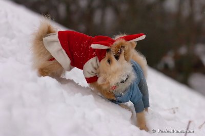 Jan5_08_120.jpg
