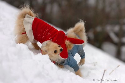 Jan5_08_122.JPG