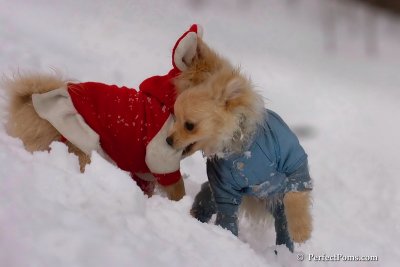 Jan5_08_128.jpg