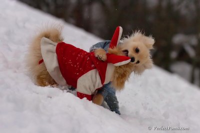 Jan5_08_133.jpg