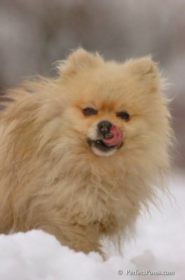 Jan6_08_201.JPG
