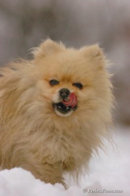 Jan6_08_202.JPG