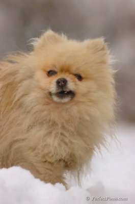 Jan6_08_204.JPG