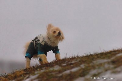 Jan6_08_219.jpg