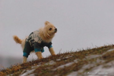 Jan6_08_221.jpg