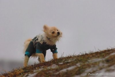 Jan6_08_222.jpg