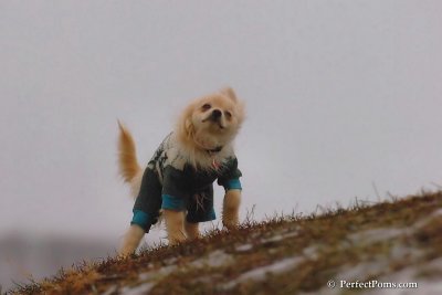 Jan6_08_226.jpg