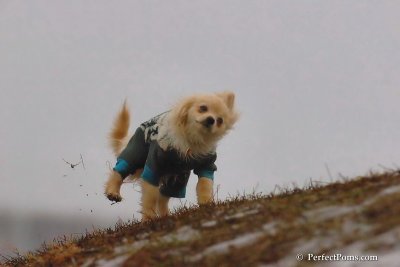 Jan6_08_227.jpg