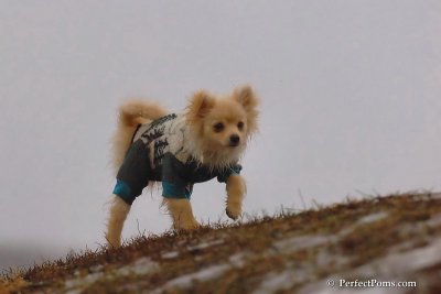 Jan6_08_228.jpg